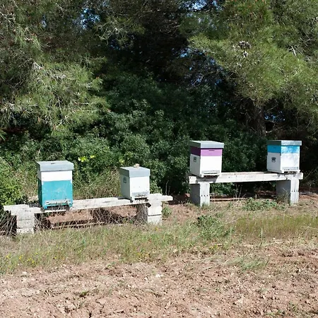 Agrihouse Fronte Mare Torre Dell'orso * Λέτσε
